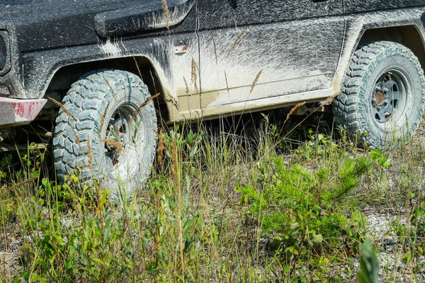 Beskidte bilhjul. Sumpgummi. Jeep i sumpen. Tria - Stock-foto