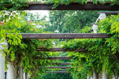 Denize yakın Balçık Botanik Bahçesi. Birçok farklı patlayıcı 