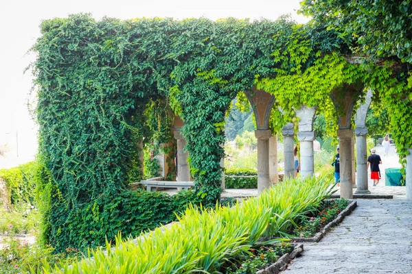 Balchik botanische tuin in de buurt van de zee. Veel verschillende explosieve — Stockfoto