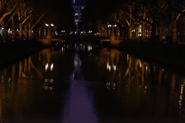 Ağaçlar Sokağı. Gece ışıkları Düsseldorf.Almanya'da Seyahat.