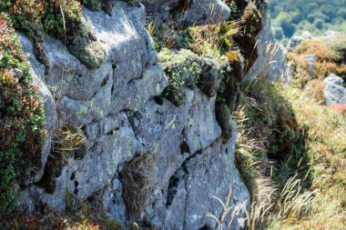 Karpat Dağları. Sonbahar 2019