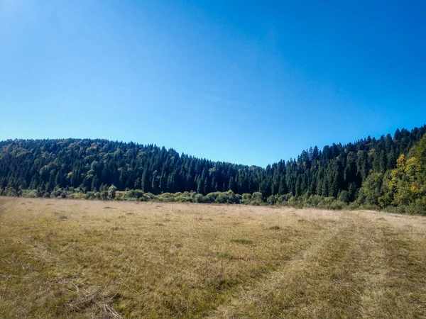 Montañas Cárpatas. Otoño 2019 —  Fotos de Stock