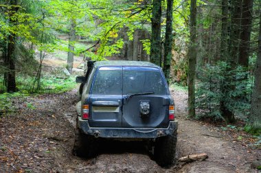 Dağlardaki bataklıkta off-road arabası. Karpatlar. Tekerlekler