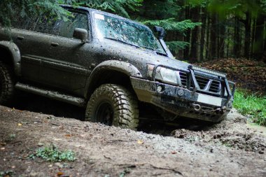 Dağlardaki bataklıkta off-road arabası. Karpatlar. Tekerlekler