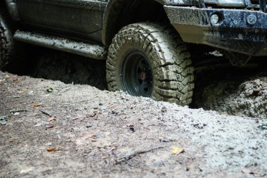 Dağlardaki bataklıkta off-road arabası. Karpatlar. Tekerlekler