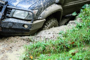 Dağlardaki bataklıkta off-road arabası. Karpatlar. Tekerlekler
