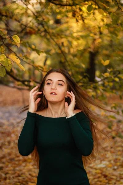 Retratos de raparigas do Outono. Vestido de esmeralda. Folhas e árvores amarelas. P — Fotografia de Stock