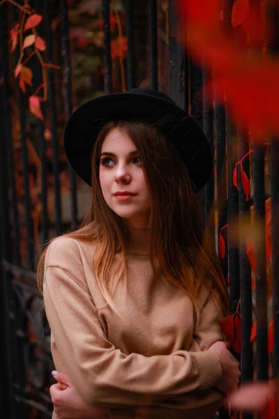 A rapariga do Outono está perto de uma cerca com hera vermelha. Camisola, chapéu e l — Fotografia de Stock