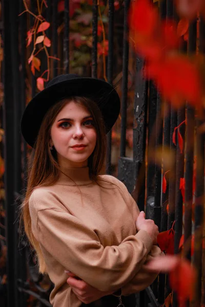 Chica de otoño se para cerca de una cerca con hiedra roja. Suéter, sombrero y l —  Fotos de Stock