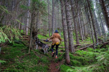 Ukrayna Karpat Dağları. Kareli tişörtlü ve turist şapkalı bir kız köpeğiyle seyahat ediyor..