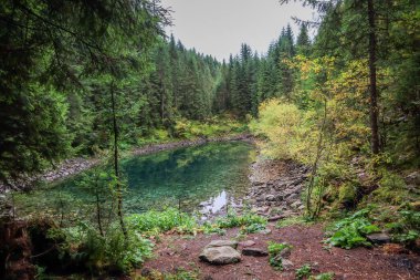 Ukrayna 'nın Karpat Dağları' ndaki Rosohan gölleri. Dağlardaki doğal turkuaz göl. Temiz su. Doğaya bakış