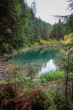 Ukrayna 'nın Karpat Dağları' ndaki Rosohan gölleri. Dağlardaki doğal turkuaz göl. Temiz su. Doğaya bakış