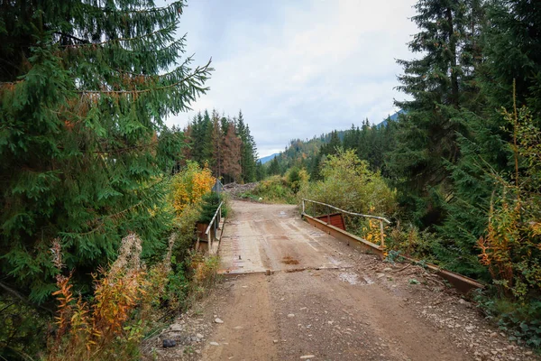 Sonbaharda Karpatların Ukrayna dağları.