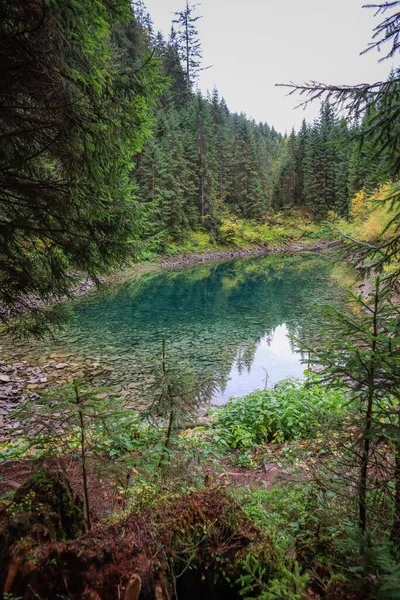 Ukrayna 'nın Karpat Dağları' ndaki Rosohan gölleri. Dağlardaki doğal turkuaz göl. Temiz su. Doğaya bakış