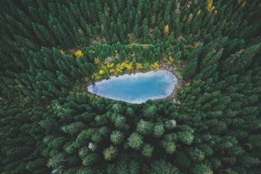 Kristal berraklığında bir dağın ateş edilmesi. Rosohan Gölü. Zümrüt ağaçları ve turkuaz göl suyu. Ukrayna Karpat Dağları
