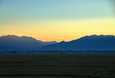 Bir sabah sis dışarı geliyor dağ manzara: Lom sormak,: Phetchabun, Thailand