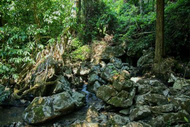 Dağ Nehri'nin kaynak: Tayland