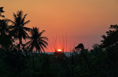 Dağ ve ağaç siluet gün batımı