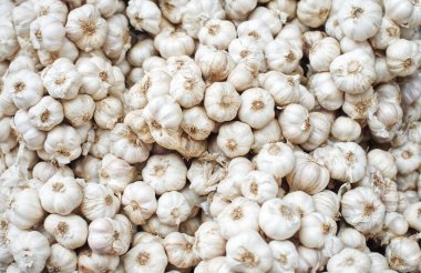 Beyaz sarımsak kafa yığın üstten görünüm: portre