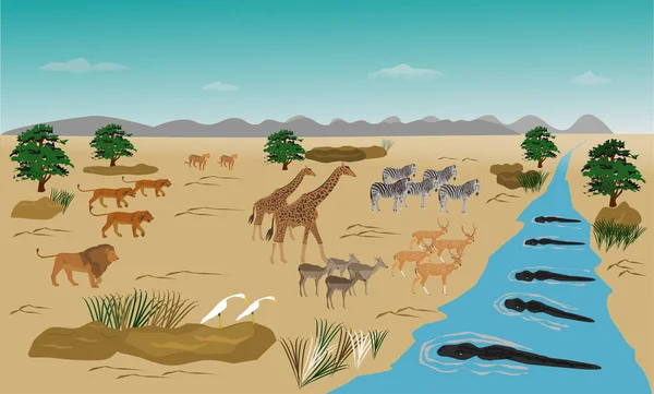河上站着的成群结队的动物 因为用完了 从一群狮子 水中的鳄鱼 — 图库矢量图片