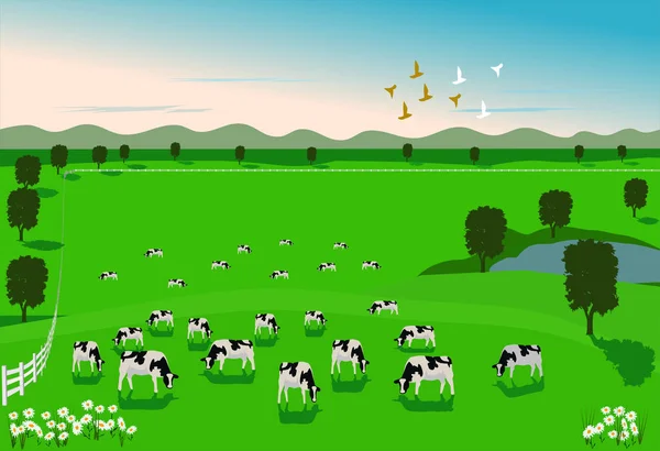 Les Vaches Mangent Herbe Dans Champ Vert Entouré Une Clôture — Image vectorielle