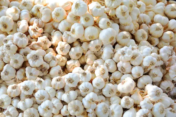 Group White Garlic Stacks Texure Background — Stock Photo, Image