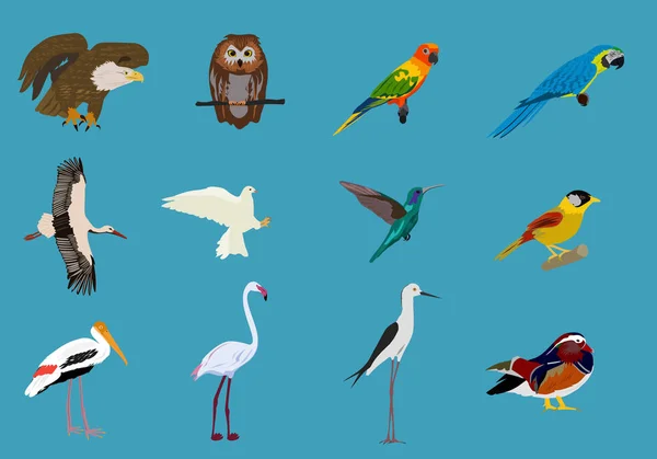 Çeşitli veri kümeleri mavi renkli kuşlar, hayvanlar vektör