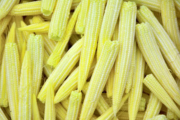 Close Group Baby Corn Arranged Background — Stock Photo, Image