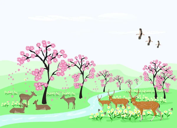 Hirschherden Ruhen Unter Den Kirschbäumen Auf Den Grünen Wiesen Mit — Stockvektor