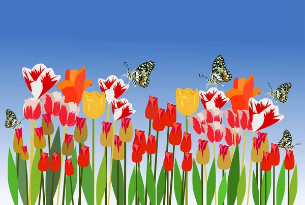 Εσωτερικη Πολύχρωμα Λουλούδια Και Πεταλούδα Λουλούδια Φόντο Μπλε Του Ουρανού — Διανυσματικό Αρχείο