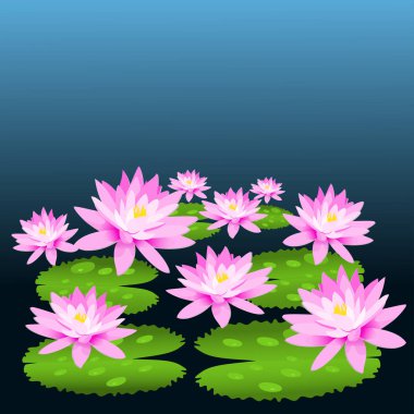 Mavi arka planlı lotus yaprağı üzerinde pembe lotus grubu kapatın