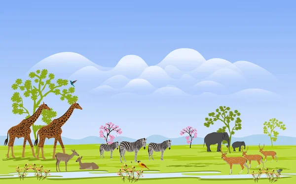 Yabani hayvan sürüsü Yeşil çim alanında arka planda dağlar ve kümeler var..