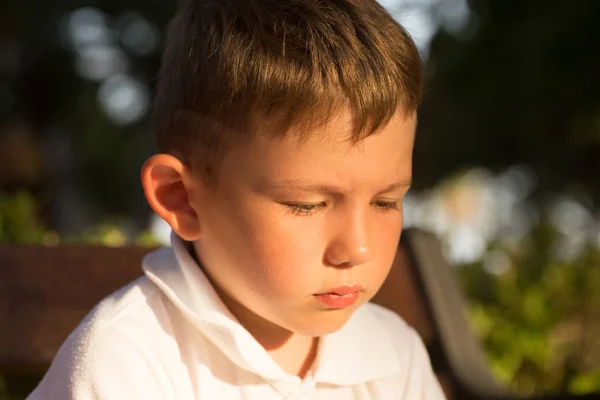 Beautiful Little Brunet Hair Boy Has Serious Face Happy Eyes — Stock Photo, Image