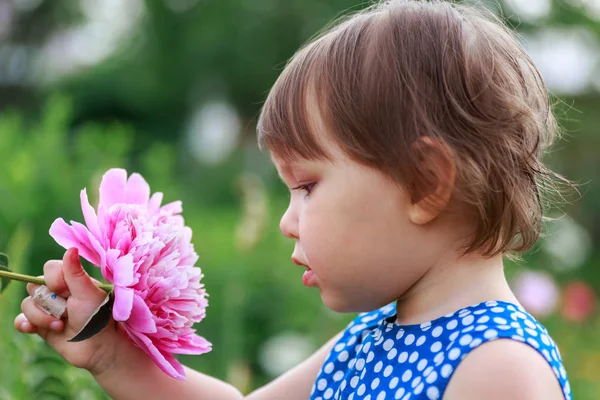 Adorable niña oliendo flores moradas . — Foto de Stock