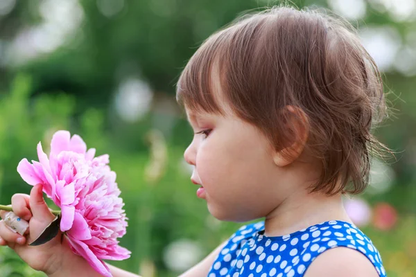 Adorable niña oliendo flores moradas . — Foto de Stock