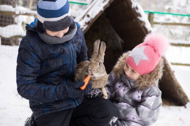 Sevimli küçük kardeş gri tavşan ile oynarken bir pembe şapkalı