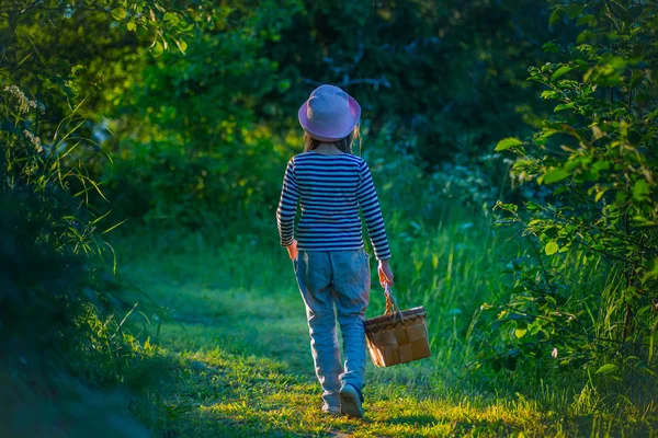 Chica joven caminando en un camino a través de bosques verdes que llevan una cesta — Foto de Stock
