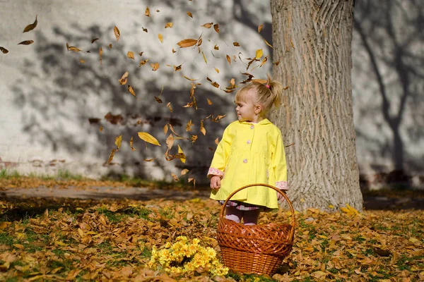 Дівчина Жовтій Сукні Викидає Листя Прекрасна Осінь Малюк Осіннє Листя — стокове фото
