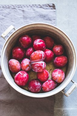 Eski bir metal tencerede farklı çeşitlerinin Erik. Gri beton arka plan, gri Tekstil peçete. Üstten görünüm. Bahçe, tarım, hasat kavramı.