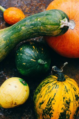 En parlak su kabakları Metalik arka plan üzerinde çeşitli şekiller. Kabak.