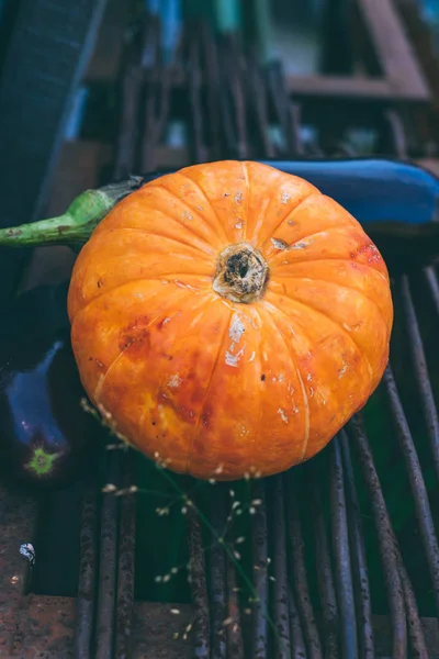Small Pumpkin Metal Rods Garden Autumn Harvest — Stock Photo, Image