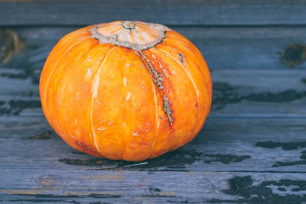 Small Pumpkin Wooden Background Autumn Harvest — Stock Photo, Image