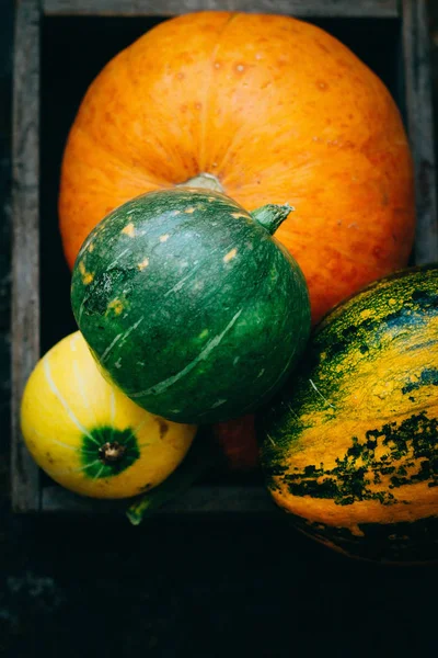 Bright Pumpkins Wooden Crate — Stock Photo, Image