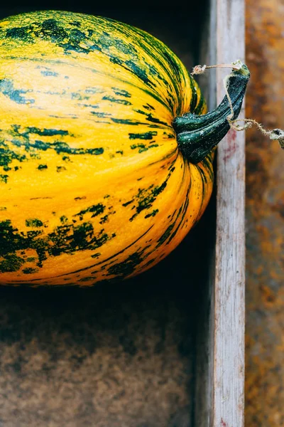 Bright Pumpkin Wooden Crate — Stock Photo, Image