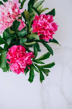 Çiçekler. Merble masada pembe şakayık