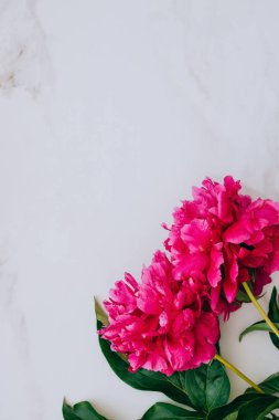 Çiçekler. Merble masada pembe şakayık