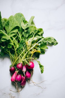 Taze kirli turp grup mermer üzerinde