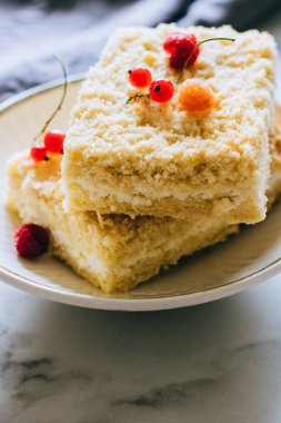 Ahududu ve beyaz bir plaka üzerinde kırmızı kuş üzümü ile dekore edilmiş bir kek ile süzme peynir kek parçaları