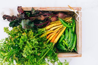 Kökleri taze kirli sebze havuç, pancar ve mermer zemin, düz yatıyordu, üzerine ahşap kutu bezelye görünümü top