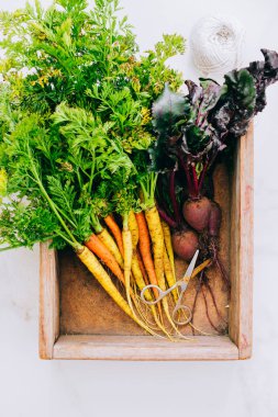 Kökleri taze kirli sebze havuç ve pancar mermer zemin, düz yatıyordu, en iyi görünümü üzerine ahşap kutusunda